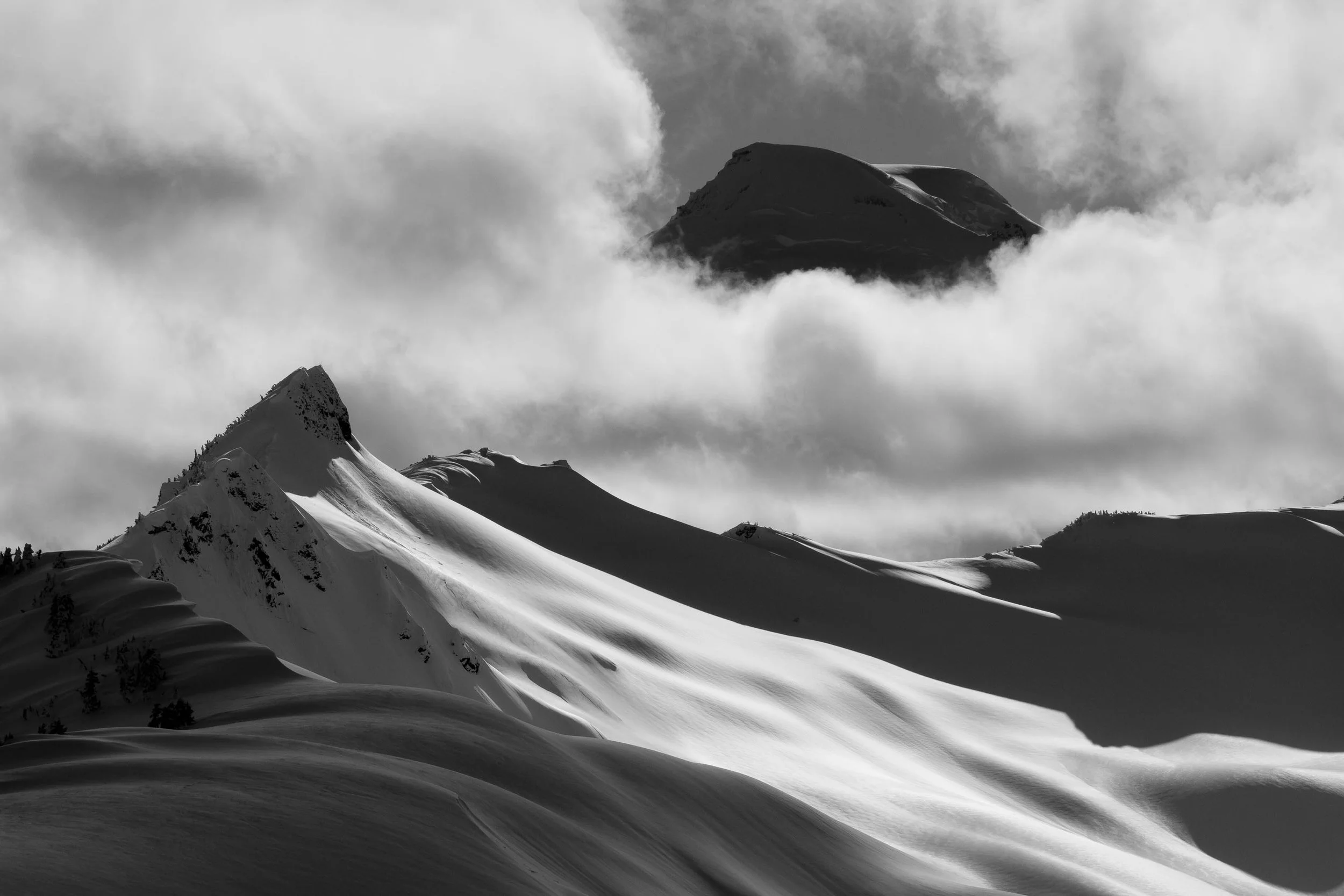 A gallery of fine art black and white or monochrome images, big